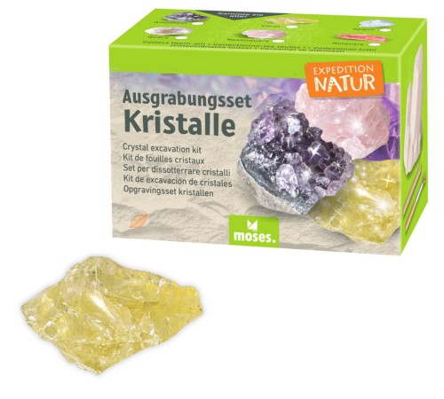 Expedition Natur Ausgrabungsset Kristall Citrin