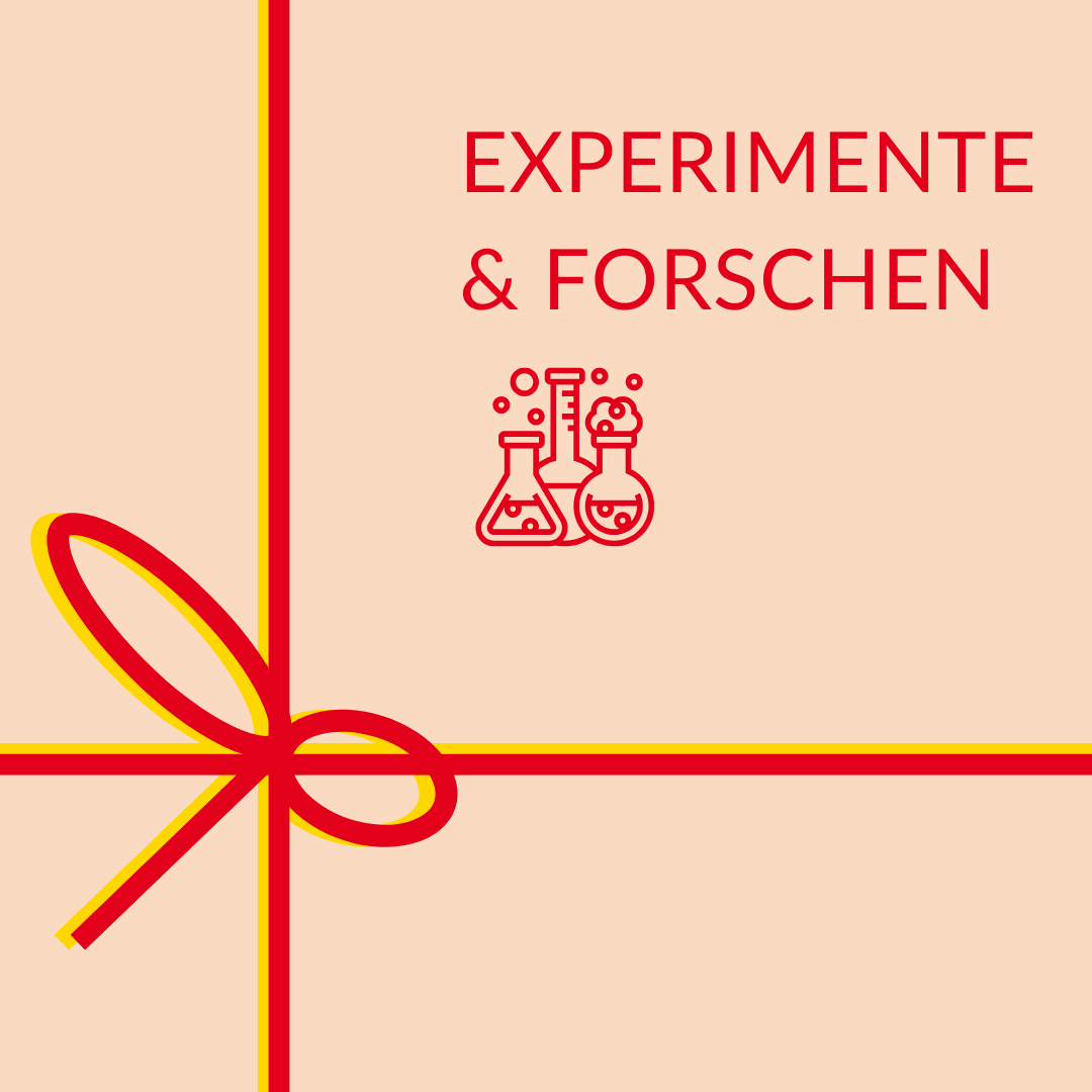 XMAS_Experimente