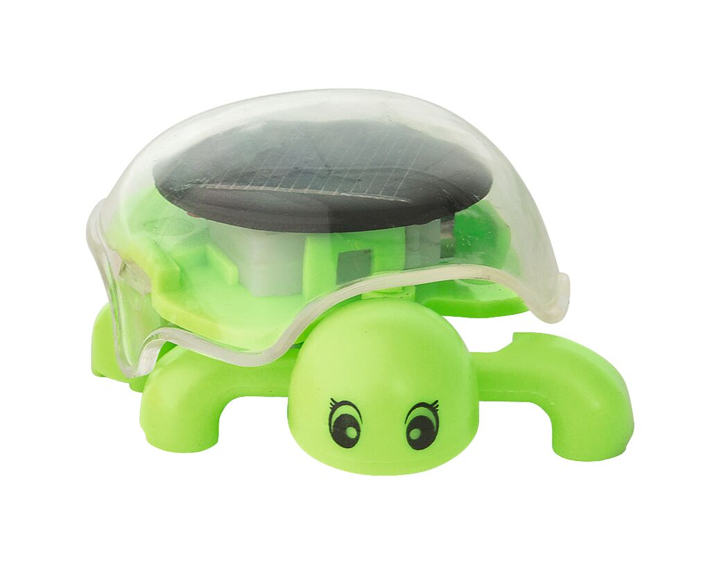 PhänoMINT Solar-Schildkröte grün