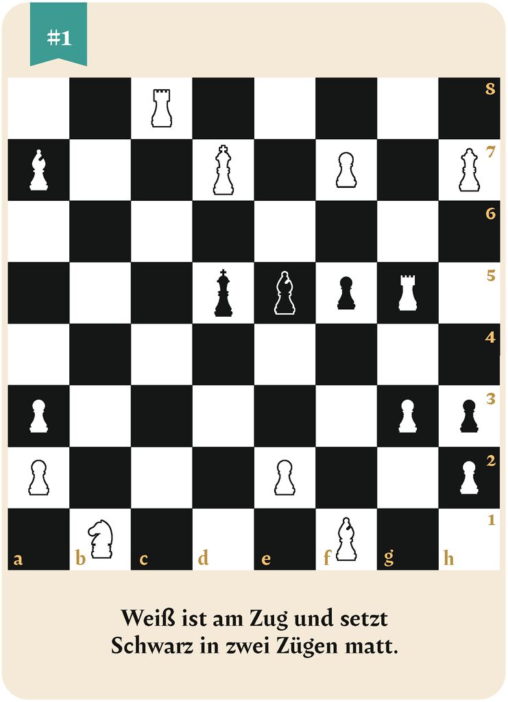 Die große Box der Schachrätsel - 50 x Schachmatt in 2 Zügen
