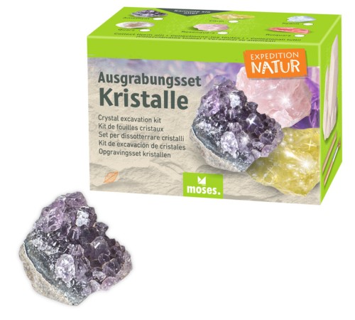 Expedition Natur Ausgrabungsset Kristall Amethyst