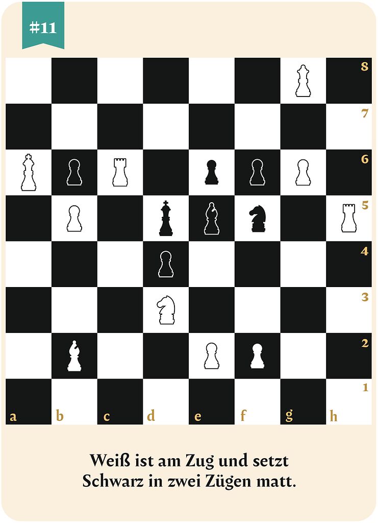 Die große Box der Schachrätsel - 50 x Schachmatt in 2 Zügen