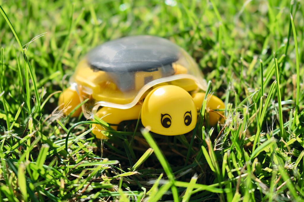 PhänoMINT Solar-Schildkröte gelb